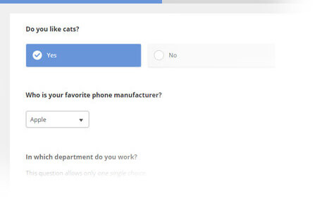 Example Survey