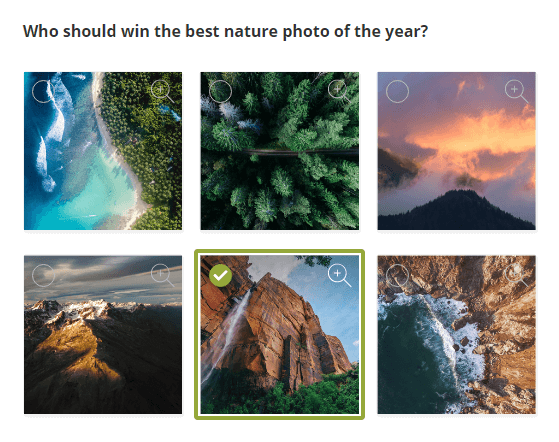 Image Choice