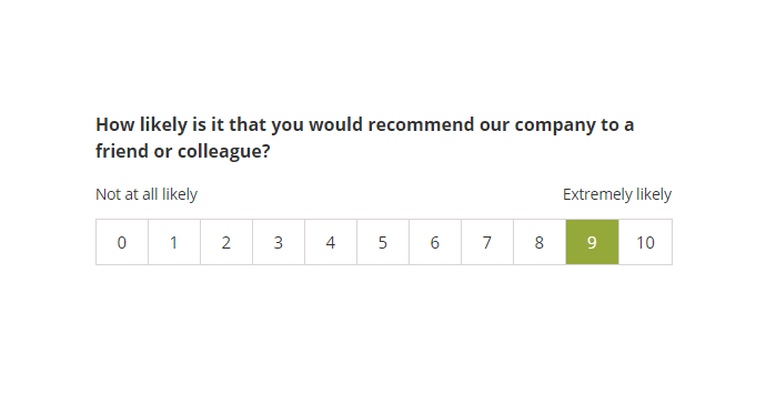Net Promoter Score (NPS)