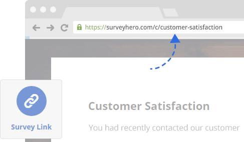 Survey Link